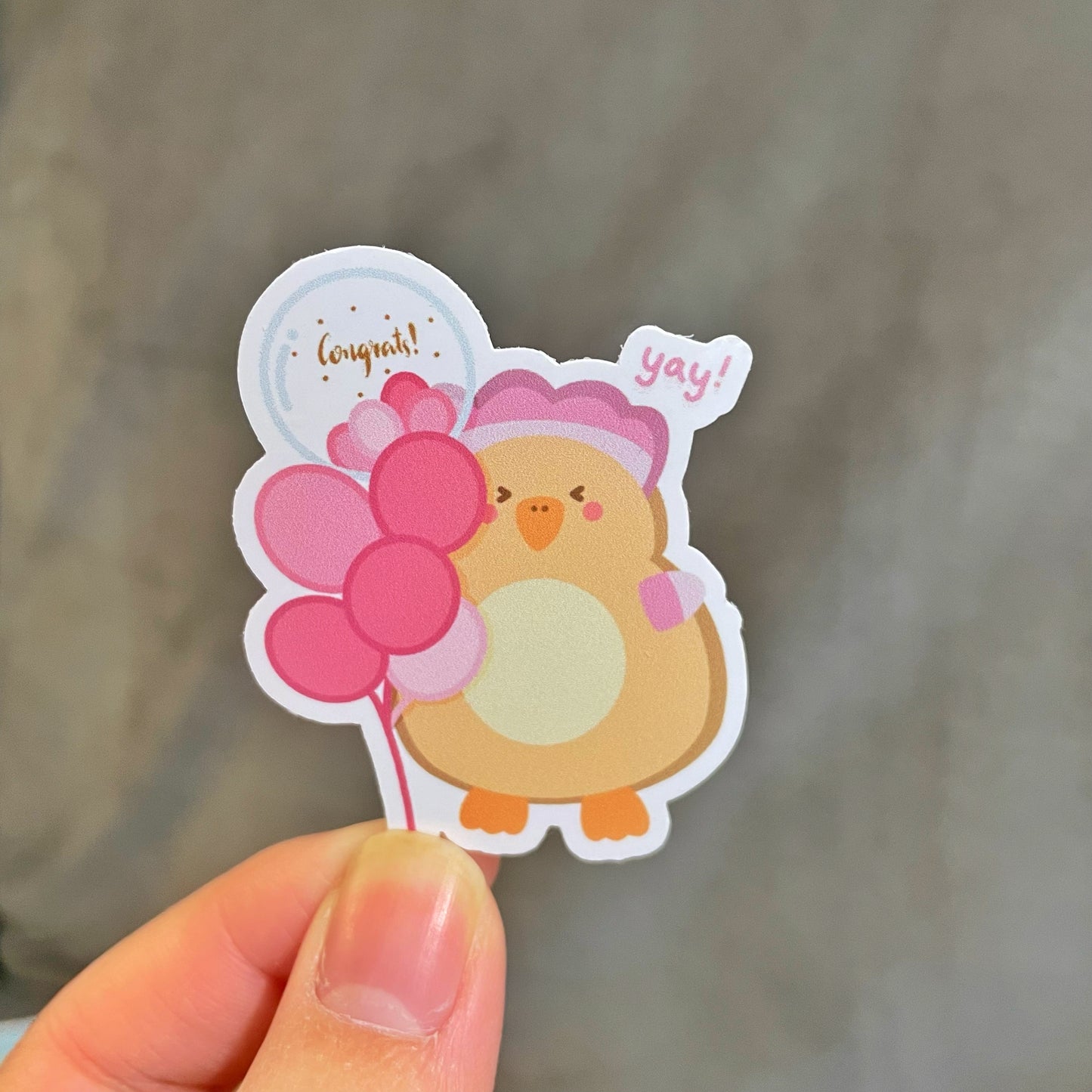 Kokkok Daily Life Sticker Set